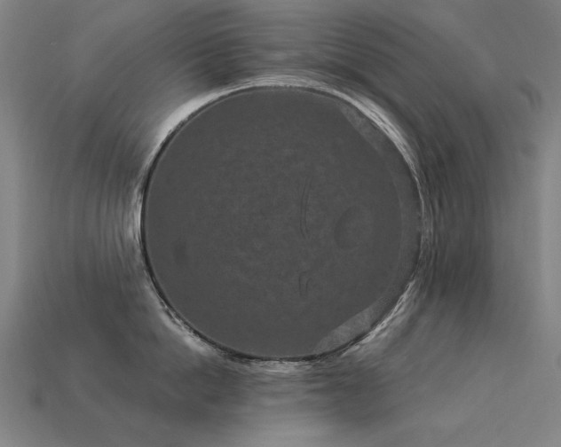 X0000113940862200909251239