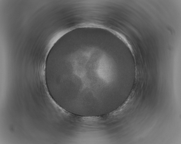 X0000113940863200909251239