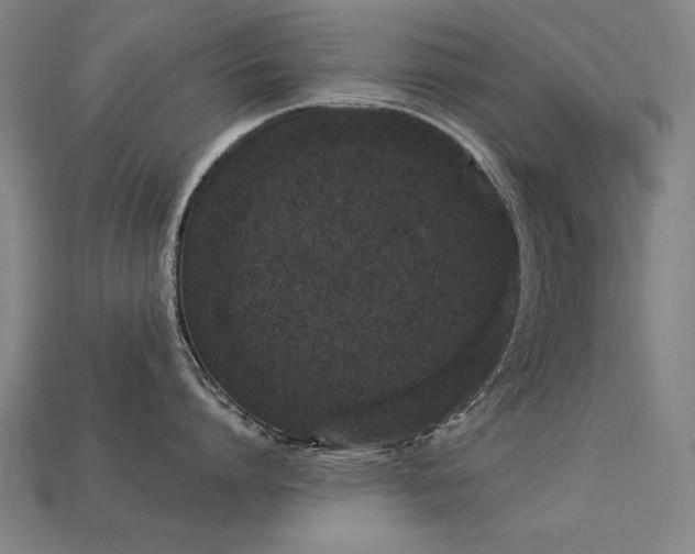 X0000113940864200909251239