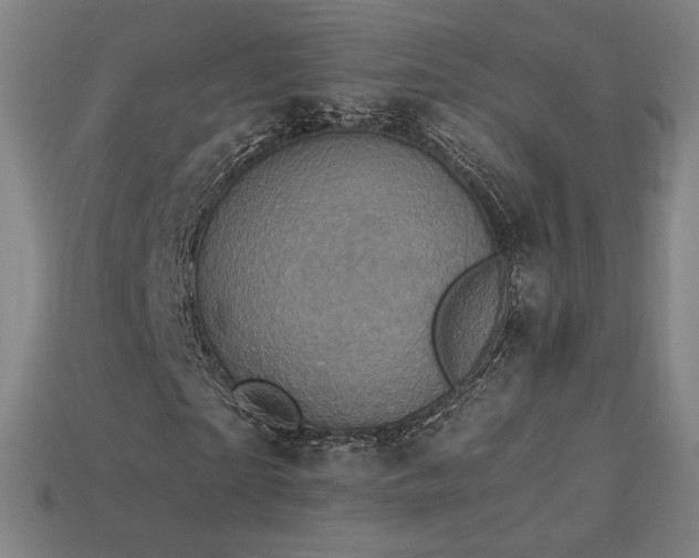 X0000113940865200909251238