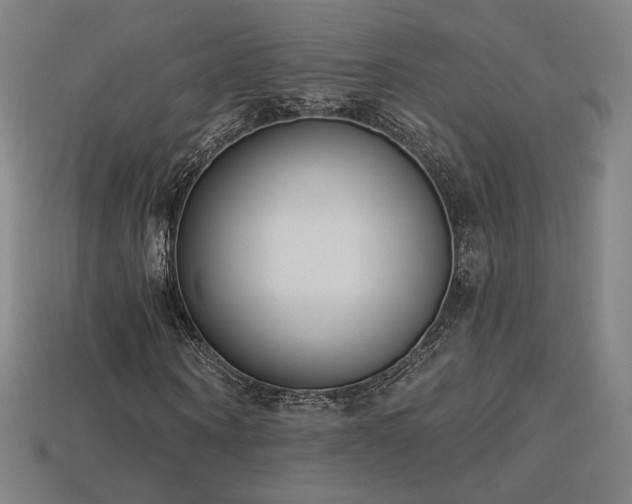 X0000113940866200909251238