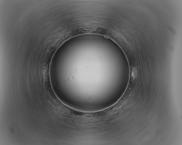 X0000113940867200909251238