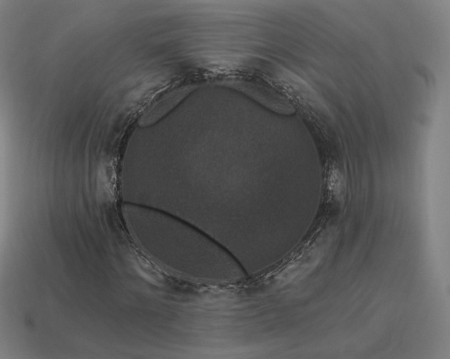 X0000113940868200909251238