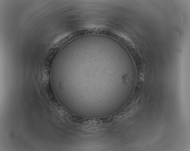 X0000113940869200909251238