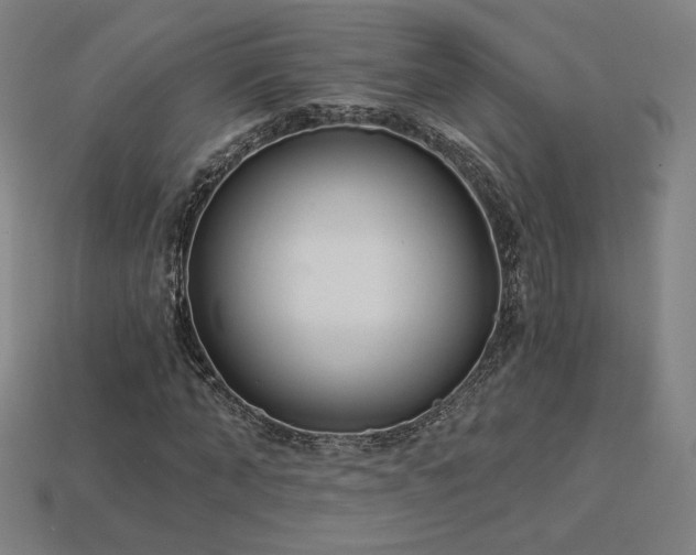 X0000113940870200909251238