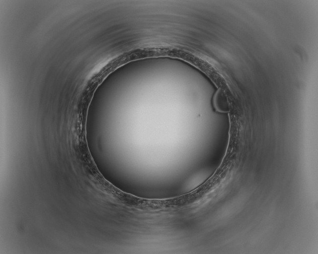 X0000113940871200909251238