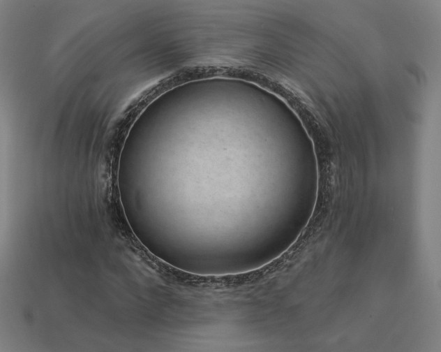 X0000113940872200909251238