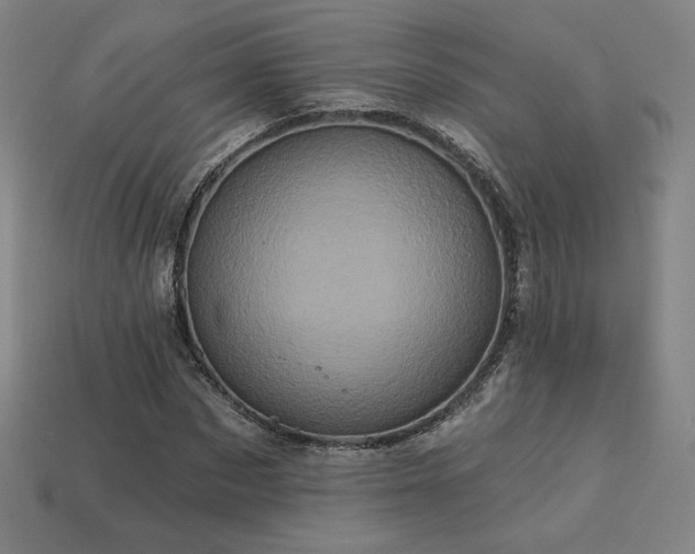 X0000113940873200909251238