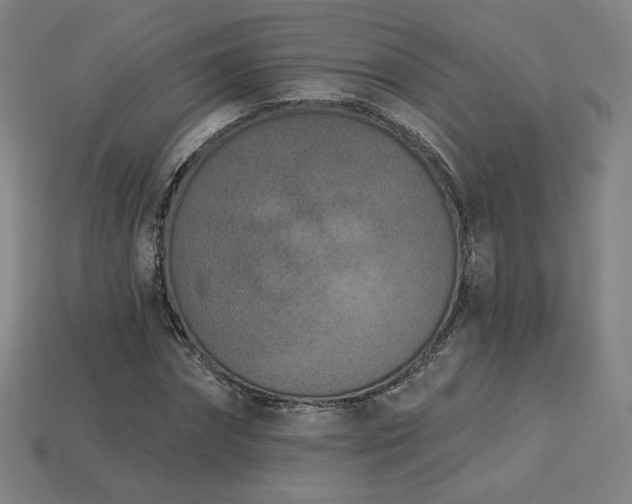 X0000113940874200909251238