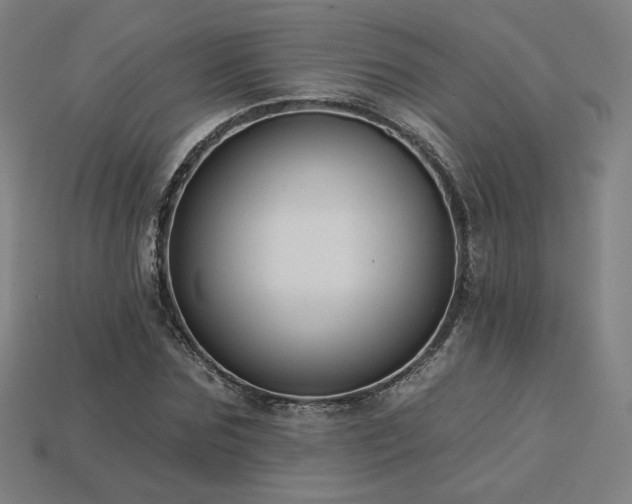 X0000113940875200909251238