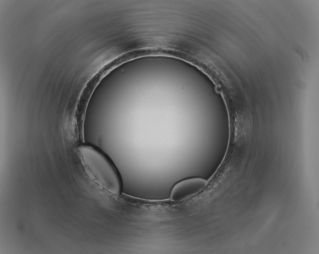 X0000113940876200909251238