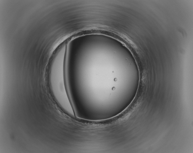 X0000113940877200909251238