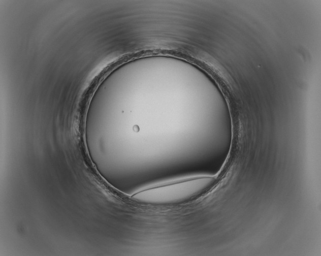 X0000113940878200909251238