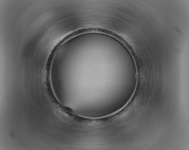 X0000113940879200909251238