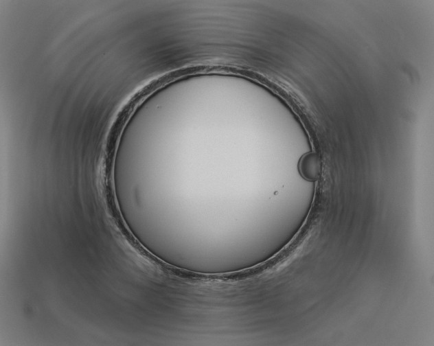 X0000113940880200909251238