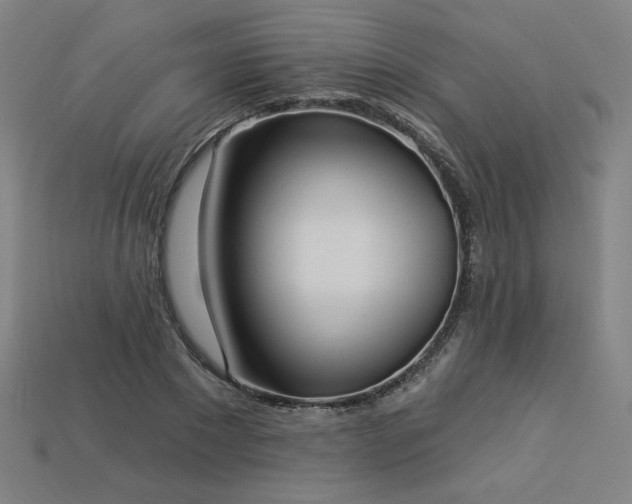 X0000113940881200909251238