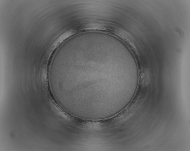X0000113940882200909251238