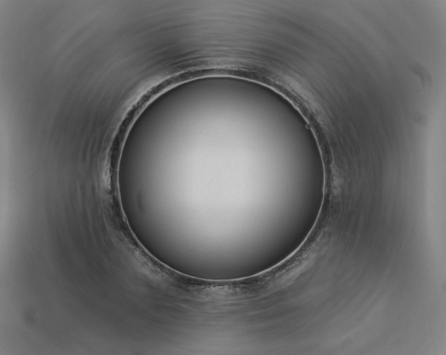 X0000113940883200909251238