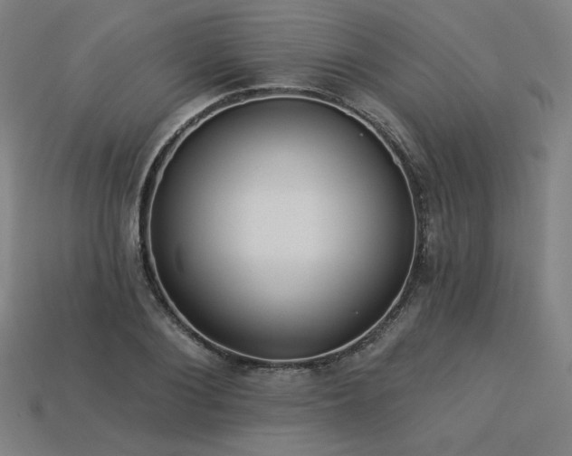X0000113940884200909251238