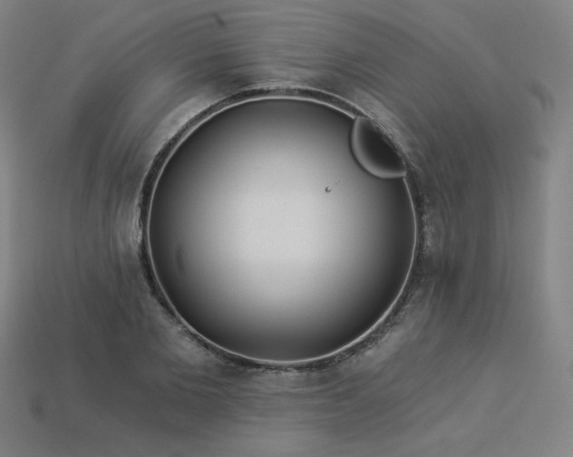X0000113940885200909251238