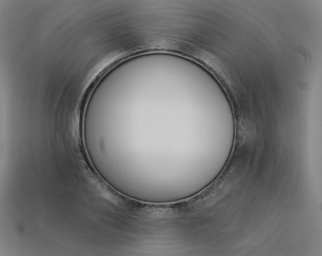 X0000113940886200909251238