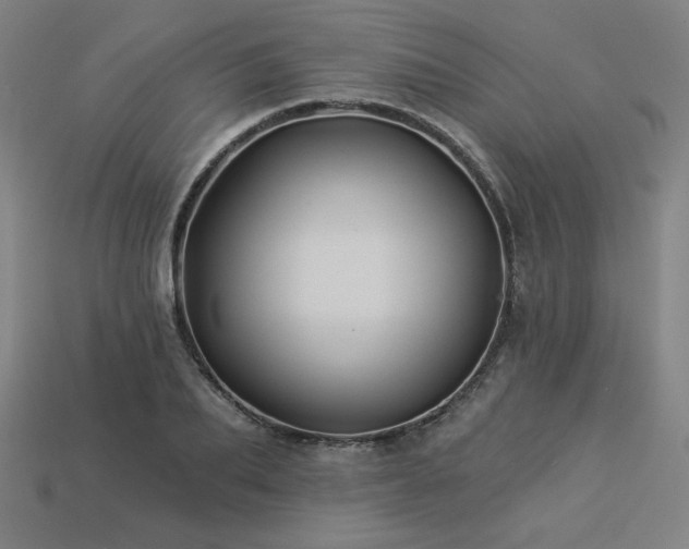 X0000113940887200909251238