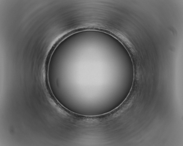 X0000113940888200909251238