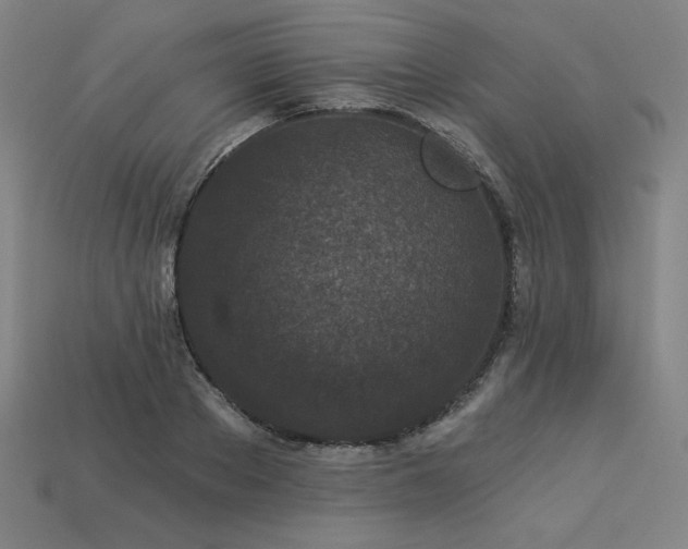 X0000113940889200909251238