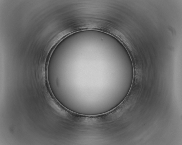 X0000113940890200909251238