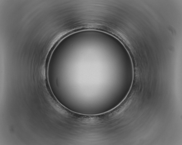 X0000113940891200909251238