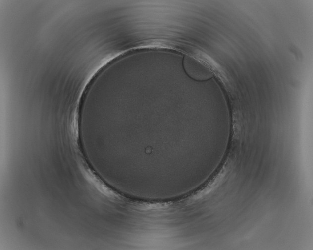 X0000113940892200909251238