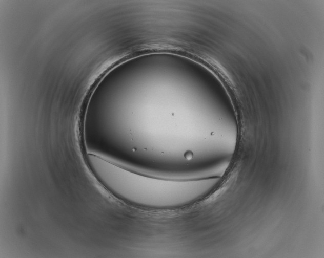 X0000113940893200909251238
