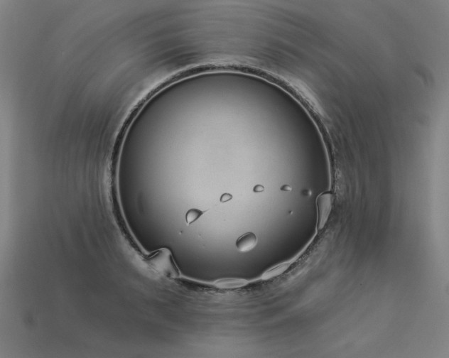X0000113940895200909251238