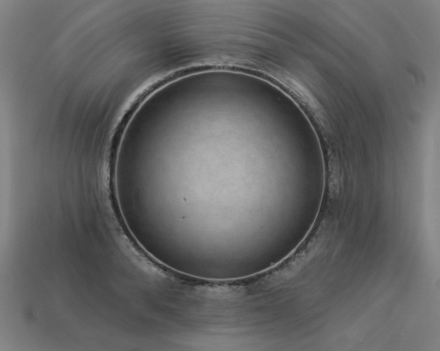X0000113940896200909251238