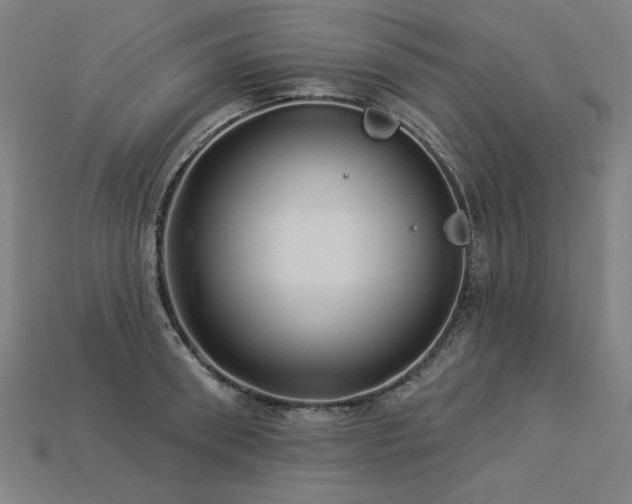 X0000113940898200909251238