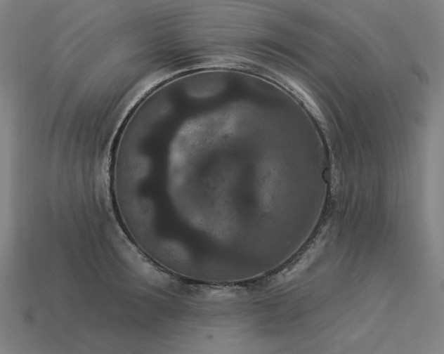 X0000113940899200909251238