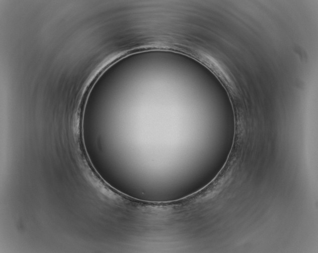 X0000113940900200909251238