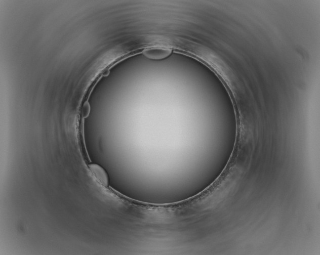 X0000113940901200909251238