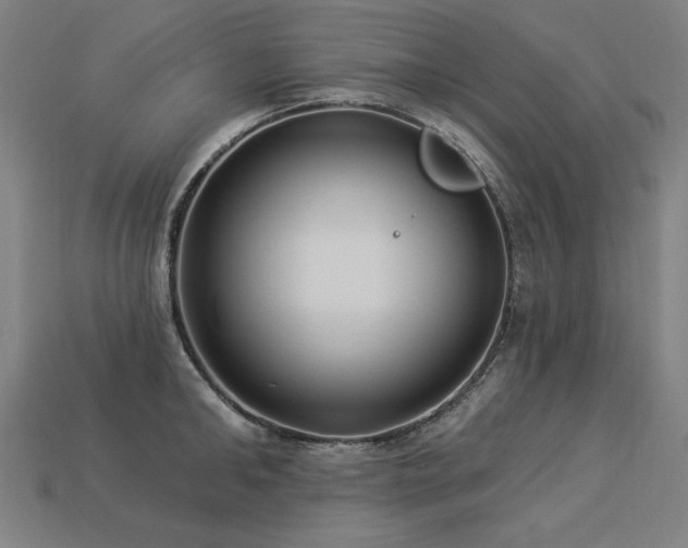 X0000113940902200909251238