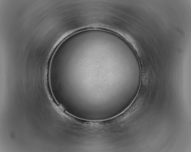 X0000113940903200909251238