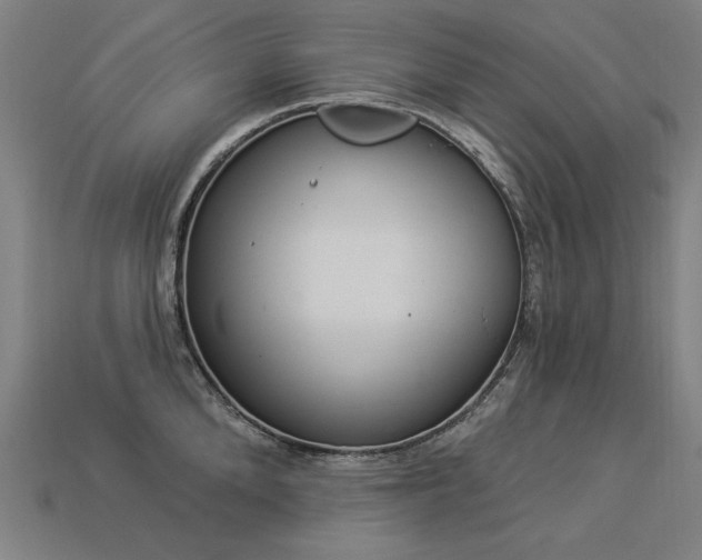 X0000113940904200909251238