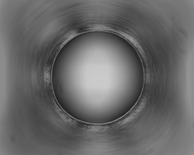 X0000113940905200909251238