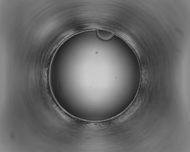 X0000113940906200909251238