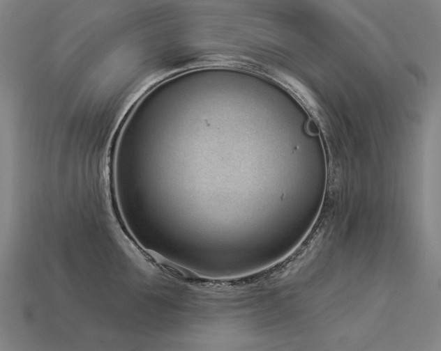 X0000113940907200909251238