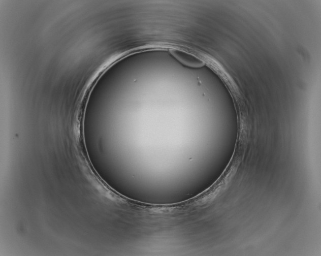 X0000113940908200909251238