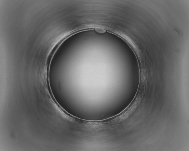 X0000113940910200909251237