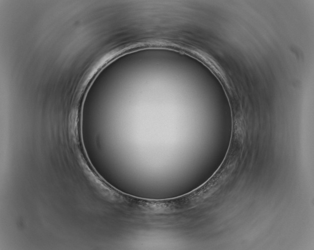 X0000113940911200909251237