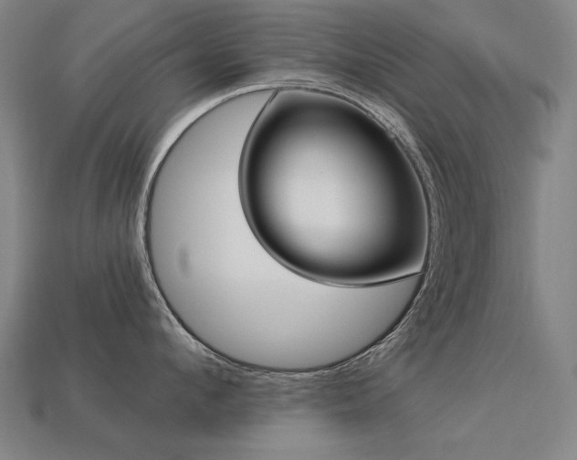 X0000113940912200909251237