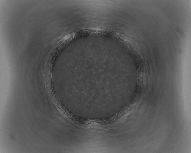 X0000113940913200909251237