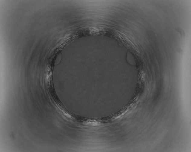 X0000113940914200909251237